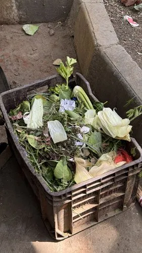 The Appetite of a City — vegetable stall residue, suburban Bombay. Photograph by Rini Singhi.