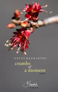 Crumbs of Moment