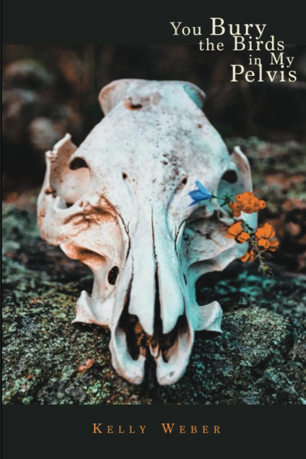 You Bury the Birds in My Pelvis
