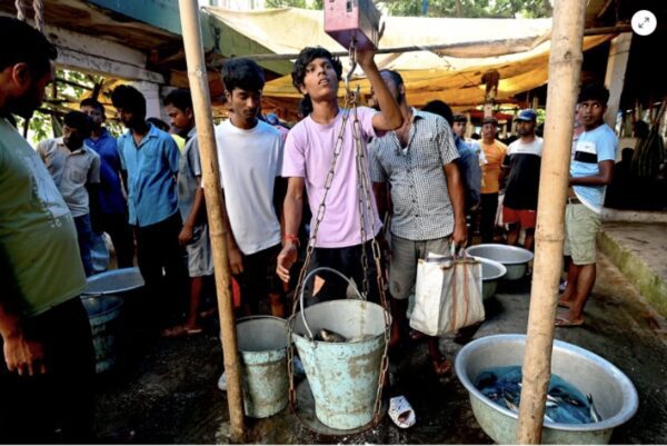 Daybreak in Uzan Bazar — auction detail, fish market Uzan Bazar. Photograph by Amit Kumar.