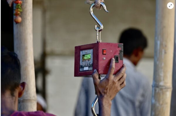 Daybreak in Uzan Bazar — auction detail, buyers and sellers at dawn. Photograph by Amit Kumar.