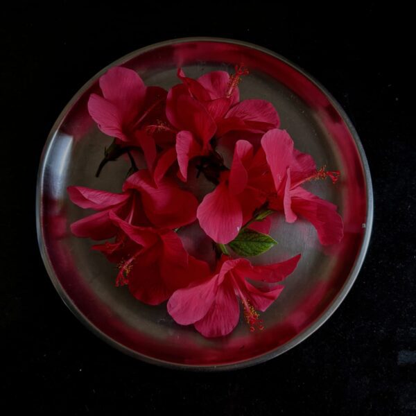 Personal photograph — My Shoebox of Photographs by Brahmi Palamalai