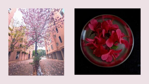 Two personal photographs — My Shoebox of Photographs by Brahmi Palamalai